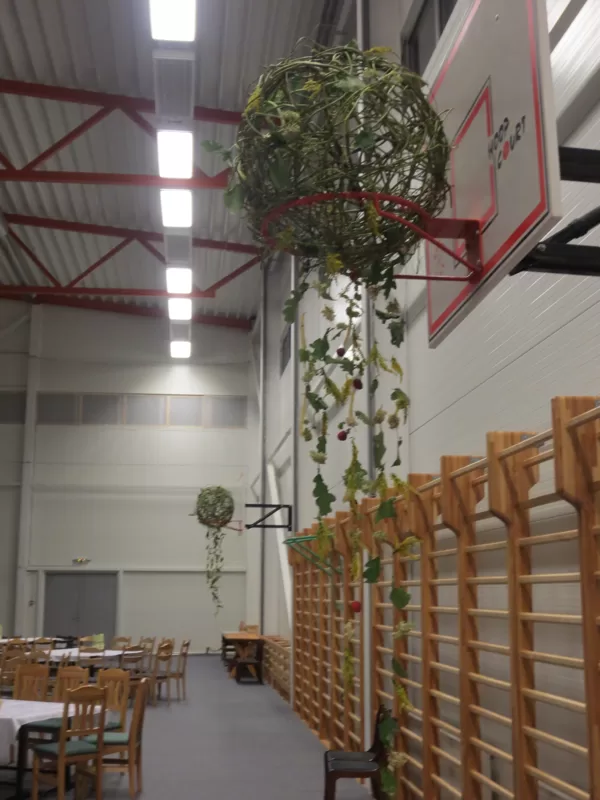 Halles dekorēšana
